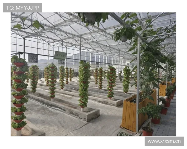 以东升农业集团为核心推动现代农业全产业链高质量发展新格局